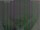 Webcam in León de los Aldamas, 146.1 mi away