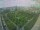 Webcam in León de los Aldamas, 178.9 km