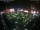 Webcam in León de los Aldamas, 870 km entfernt