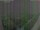Webcam in León de los Aldamas, 69.3 mi away