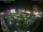 Webcam in León de los Aldamas, 378.7 km entfernt