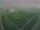 Webcam in León de los Aldamas, 193.3 km