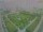 Webcam in León de los Aldamas, 69 mi away