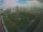 Webcam in León de los Aldamas, 159.5 mi away