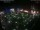 Webcam in León de los Aldamas, 45.5 km entfernt