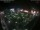 Webcam in León de los Aldamas, 378.7 km