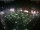 Webcam in León de los Aldamas, 159.5 mi away