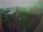 Webcam in León de los Aldamas, 152.7 mi away