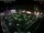 Webcam in León de los Aldamas, 378.7 km