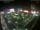 Webcam in León de los Aldamas, 229.3 km