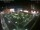 Webcam in León de los Aldamas, 220.8 km