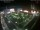 Webcam in León de los Aldamas, 863.2 km
