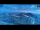 Webcam in Palestrina, 34.3 km entfernt