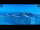 Webcam in Palestrina, 13.3 km