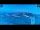 Webcam in Palestrina, 10.4 mi away