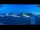 Webcam in Palestrina, 22.1 km