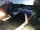 Webcam in Eldenburg, 0.3 km