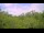Webcam in Metairie, Louisiana, 132 mi away