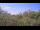 Webcam in Metairie, Louisiana, 145.9 km