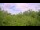 Webcam in Metairie, Louisiana, 113 mi away