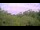 Webcam in Metairie, Louisiana, 265.5 km