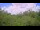 Webcam in Metairie, Louisiane, 292.9 km