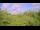 Webcam in Metairie, Louisiana, 317.6 km