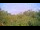 Webcam in Metairie, Louisiana, 165.3 km entfernt
