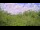 Webcam in Metairie, Louisiana, 142 mi away