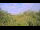 Webcam in Metairie, Louisiana, 6.9 km