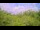 Webcam in Metairie, Louisiana, 31.6 km