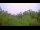 Webcam in Metairie, Louisiana, 317.2 km entfernt