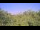 Webcam in Metairie, Louisiana, 6.9 km entfernt