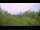 Webcam in Metairie, Louisiana, 317.2 km