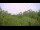 Webcam in Metairie, Louisiana, 122.3 mi away