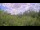 Webcam in Metairie, Louisiana, 109.6 mi away