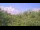 Webcam in Metairie, Louisiana, 110.4 mi away