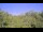 Webcam in Metairie, Louisiana, 4.3 mi away
