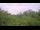 Webcam in Metairie, Louisiane, 21.1 km