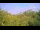 Webcam in Metairie, Louisiane, 86.7 km