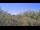 Webcam in Metairie, Louisiana, 368 km entfernt