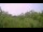 Webcam in Metairie, Louisiana, 4.3 mi away