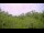 Webcam in Metairie, Louisiana, 2.1 mi away