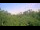 Webcam in Metairie, Louisiana, 77.5 mi away