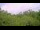 Webcam in Metairie, Louisiana, 368 km entfernt