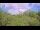 Webcam in Metairie, Louisiana, 2.7 mi away