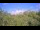 Webcam in Metairie, Louisiana, 2.7 mi away