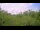 Webcam in Metairie, Louisiana, 27.5 mi away