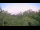 Webcam in Metairie, Louisiana, 76 mi away