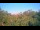 Webcam in Metairie, Louisiana, 7 km